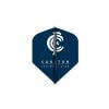 Afl Team Dart Flights - Carlton Blues
