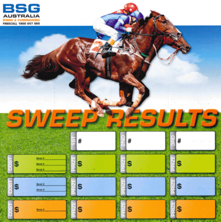 Sweepstake Kit